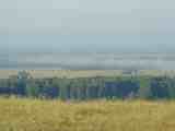 Лето 2008