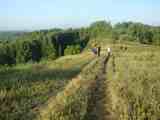 Лето 2008