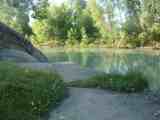 Лето 2008