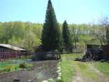 Весна 2011