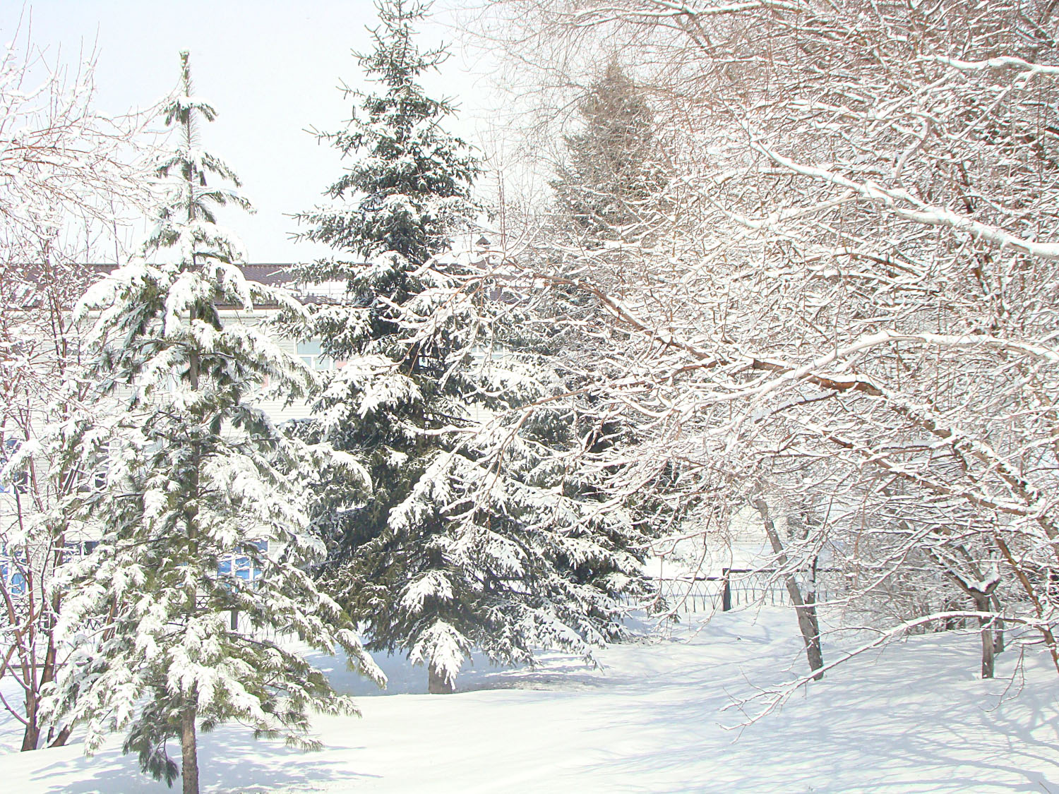Зима 2013
