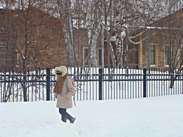 Зима 2013